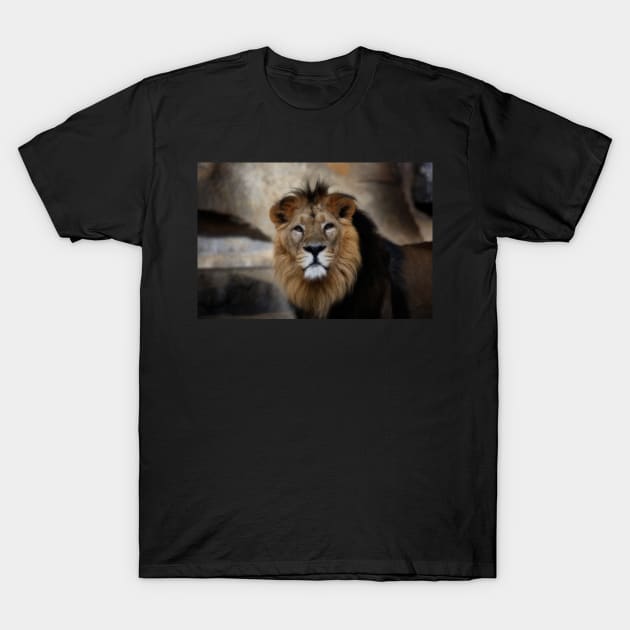 lion - portrait T-Shirt by hottehue